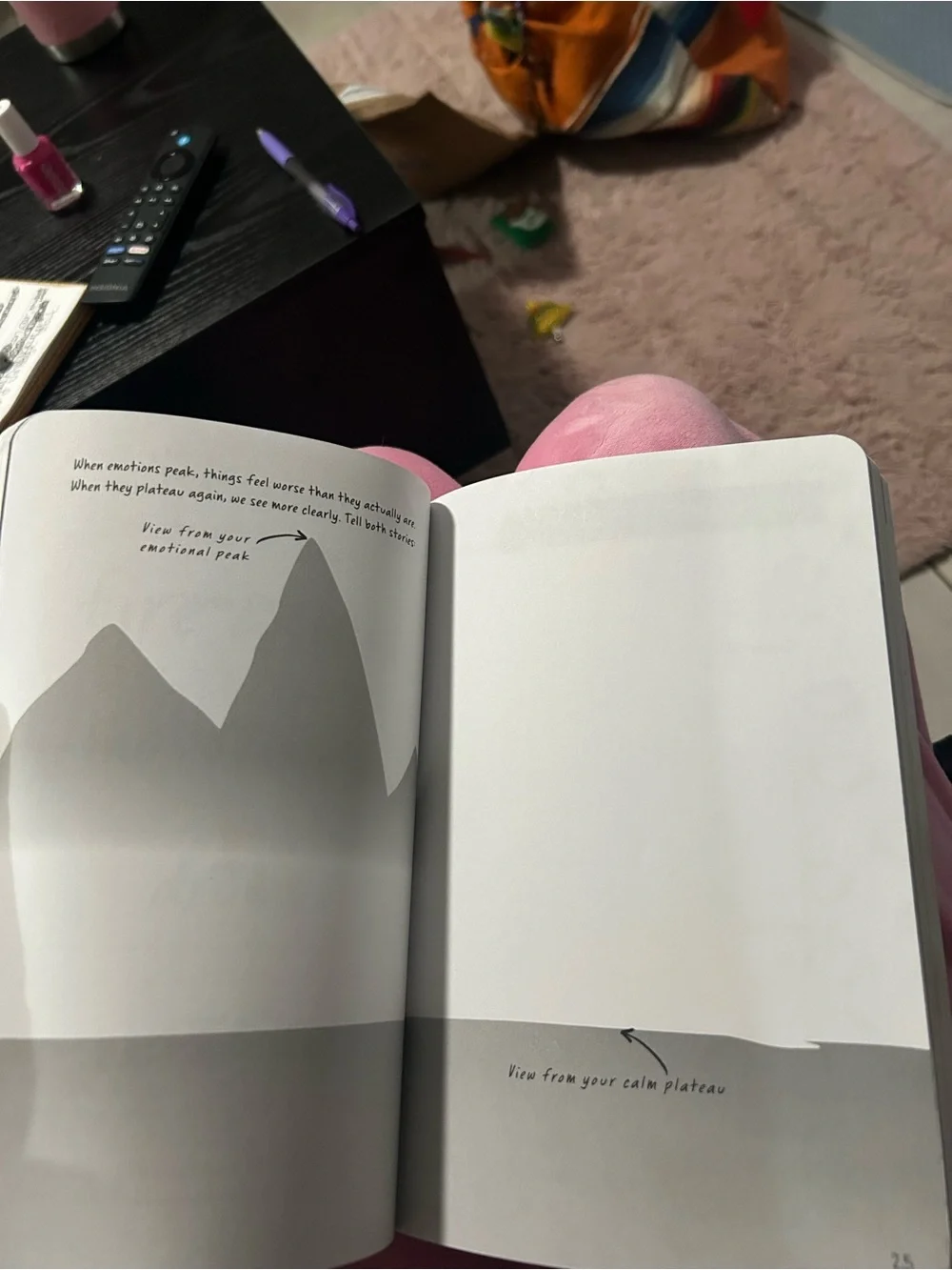 Put Your Feelings Here — Black & Orange DBT Journal